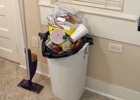 Cross-Contamination 101: How Touching the Trash Spreads to Your Food